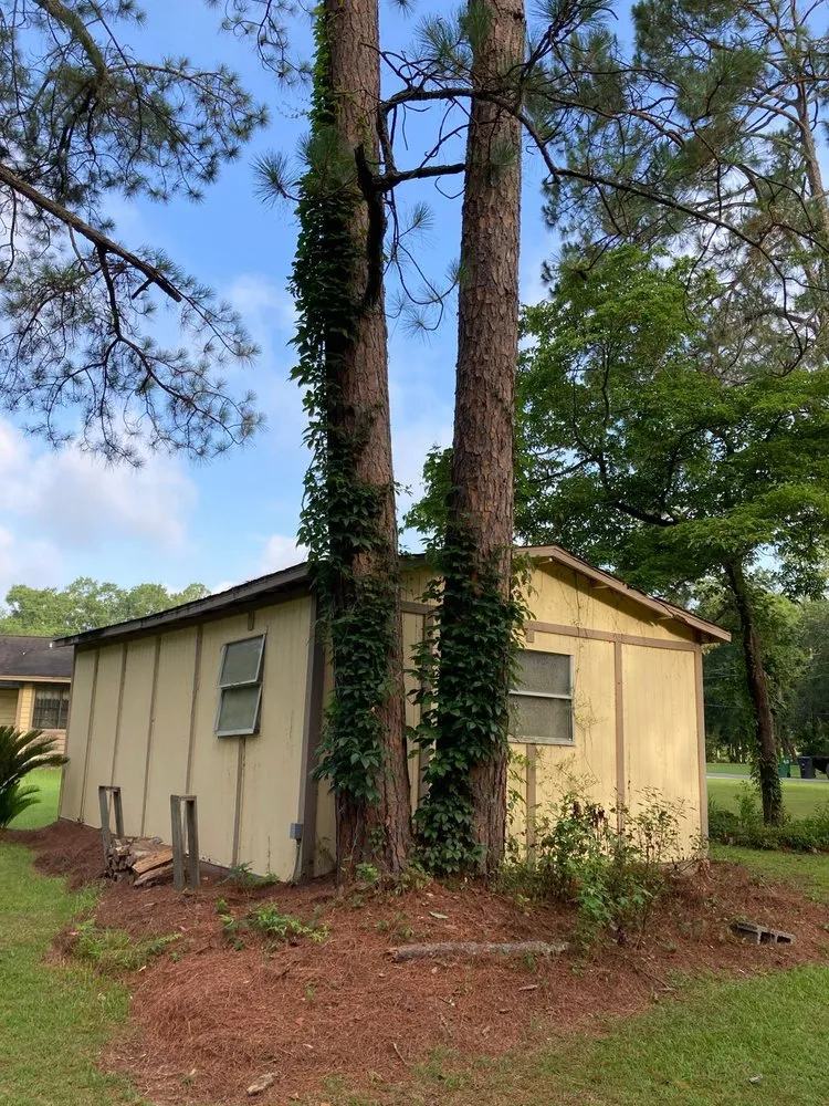 Custom landscape design in Havana, FL - Diaz Lawn Service