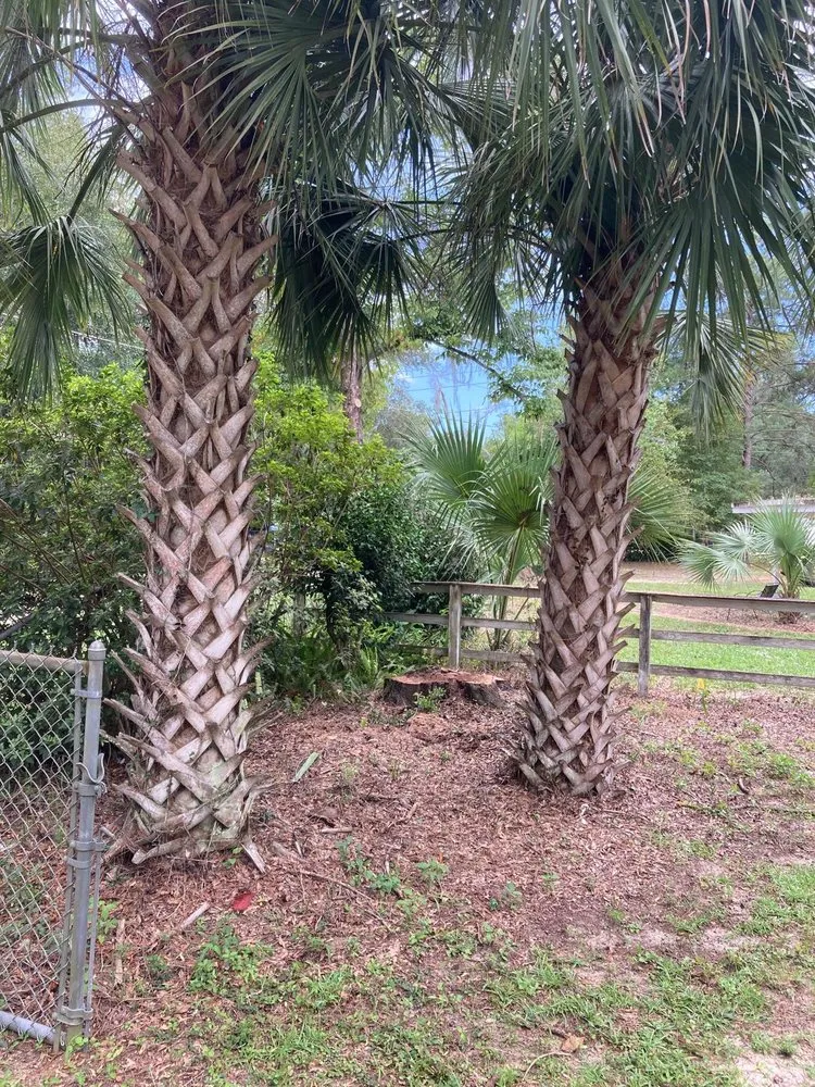 Top-rated lawn mowing service in Havana, FL by Diaz Lawn Service