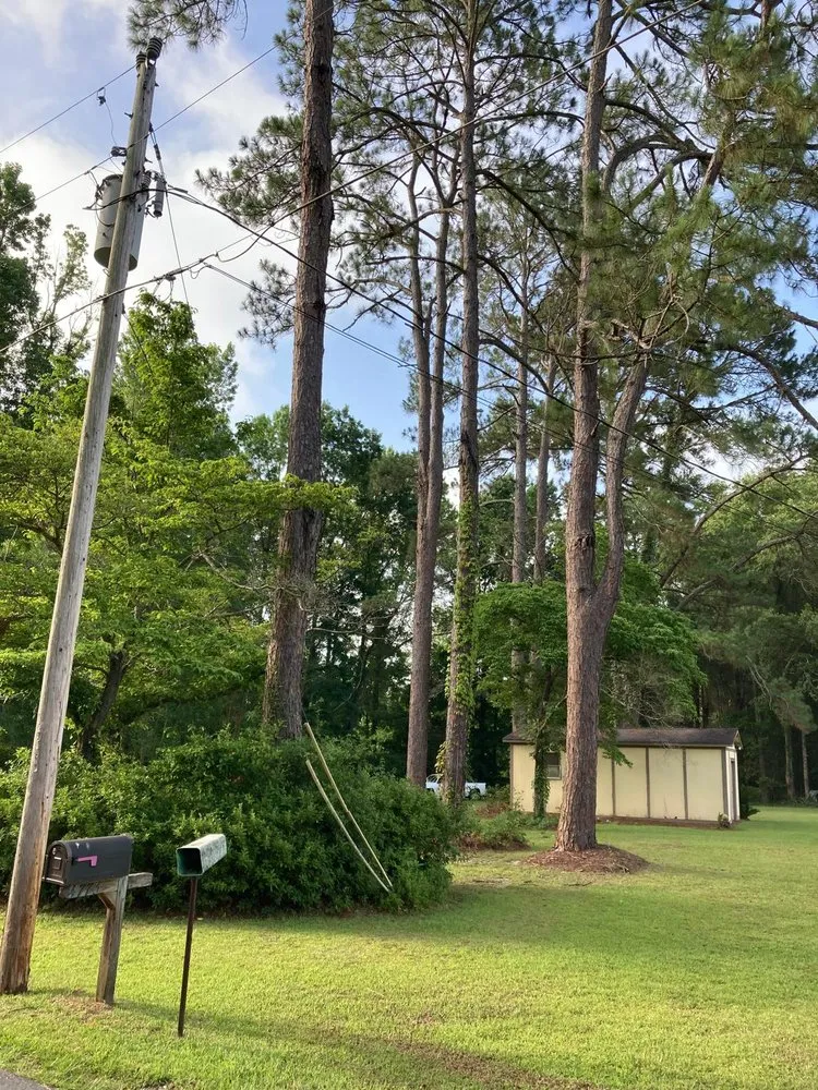 Expert garden landscaping in Havana, FL - Diaz Lawn Service