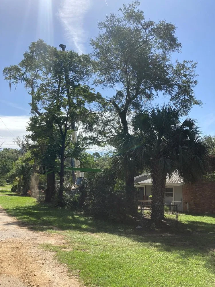 Custom lawn care service for residential properties across Havana, FL - Diaz Lawn Service