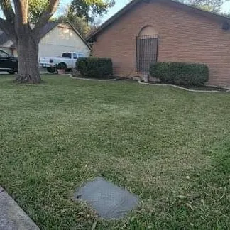 Trusted yard cleanup service in San Antonio, TX - Diaz Lawncare & More