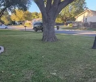 Expert residential landscaping experts serving San Antonio, TX - Diaz Lawncare & More