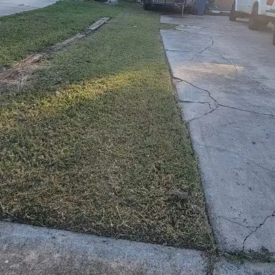 Diaz Lawncare & More Logo