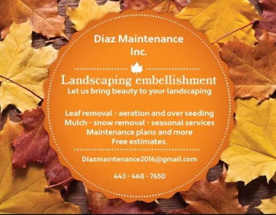 Affordable outdoor landscaping in Nottingham, MD by Diaz Maintenance