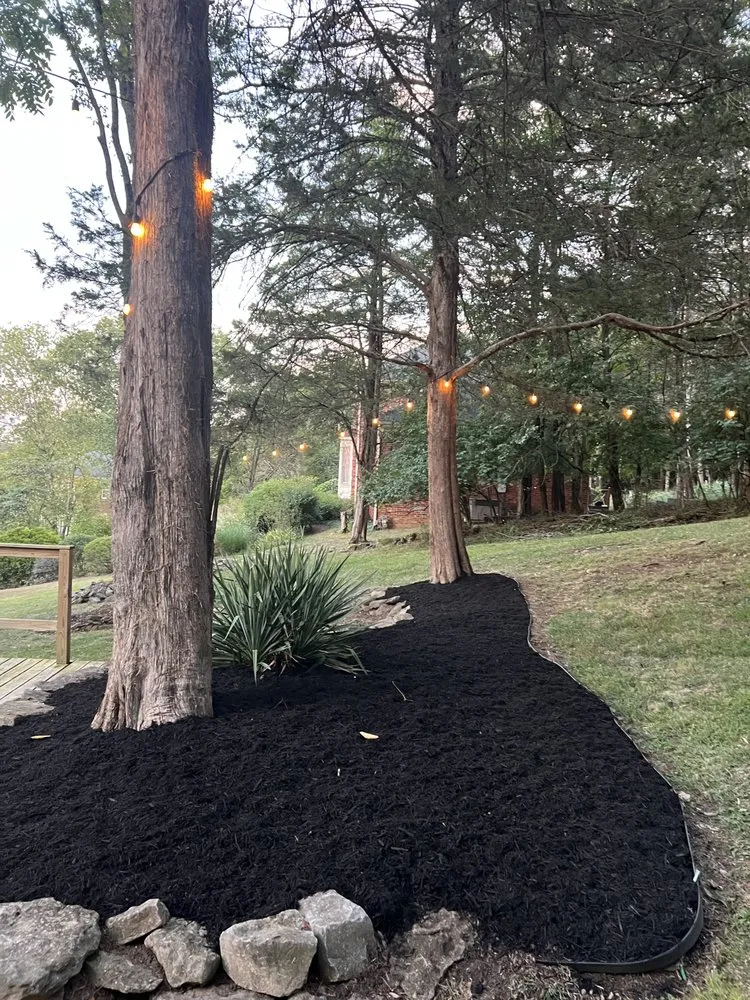 Trusted yard cleanup service for residential properties in Murfreesboro, TN by Diaz Munoz Landscaping