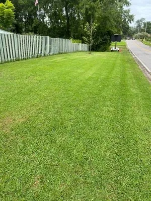 Diaz Nieves Landscaping Logo