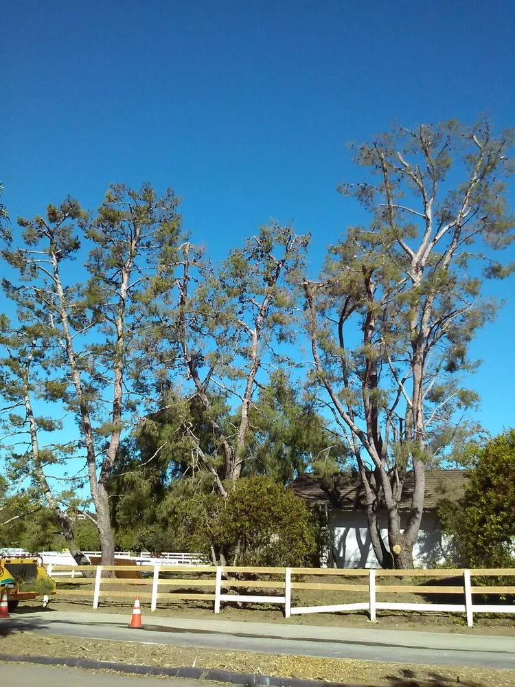 Reliable outdoor landscaping for homes in San Marcos, CA by Diaz Tree & Landscape