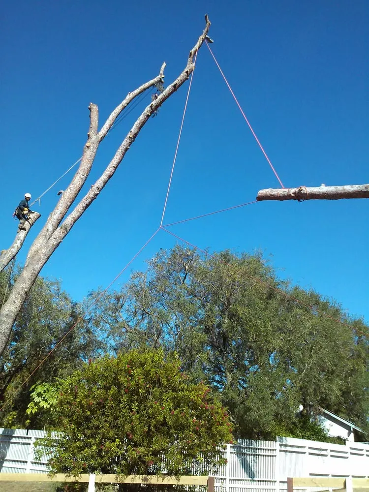 Affordable lawn care service with custom design in San Marcos, CA by Diaz Tree & Landscape