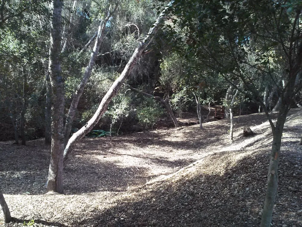 Trusted lawn care service experts serving San Marcos, CA - Diaz Tree & Landscape