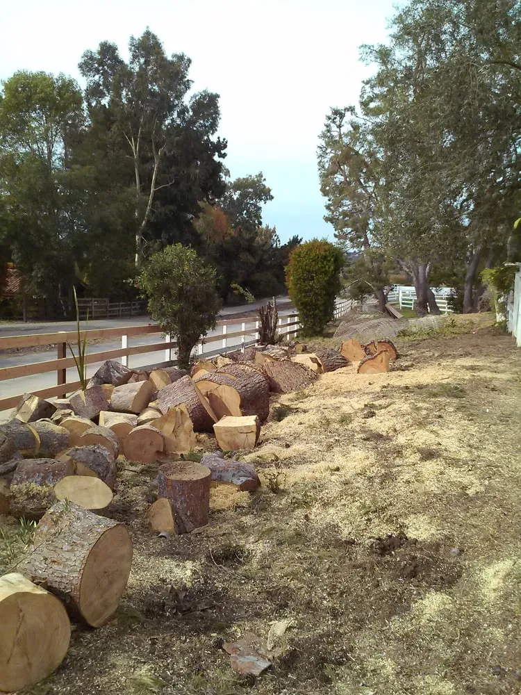 Custom landscape installation experts serving San Marcos, CA - Diaz Tree & Landscape
