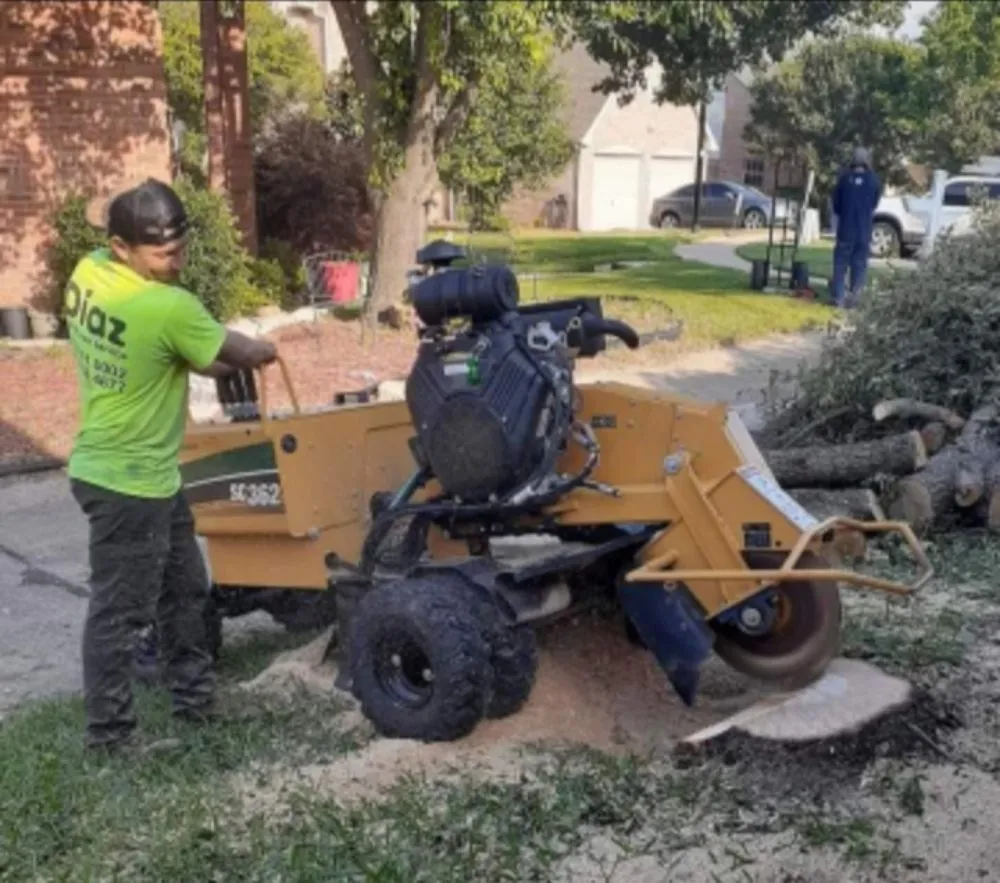 Trusted yard cleanup service for homes in Garland, TX by Diaz Tree & Lawn Service