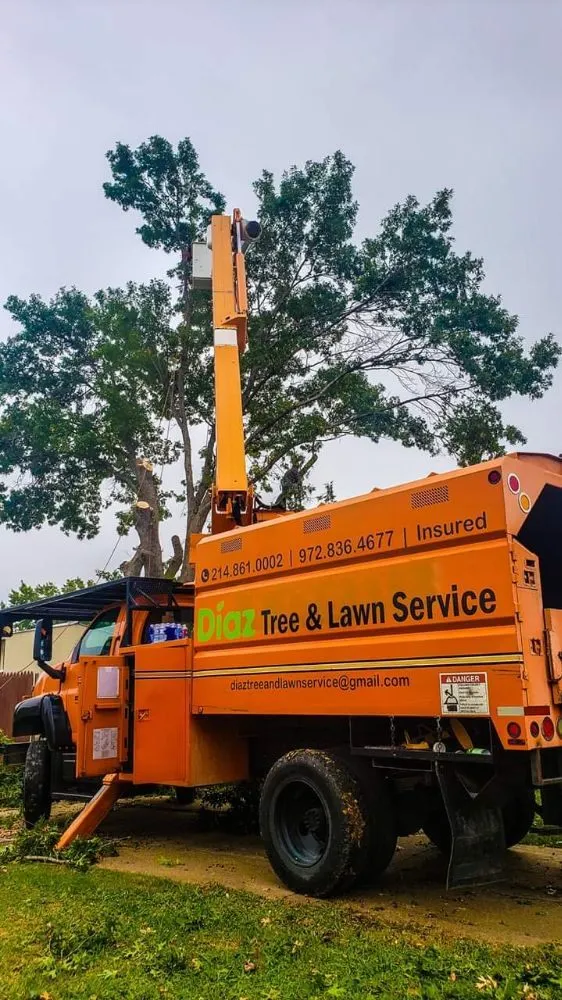 Expert yard cleanup service in Garland, TX by Diaz Tree & Lawn Service
