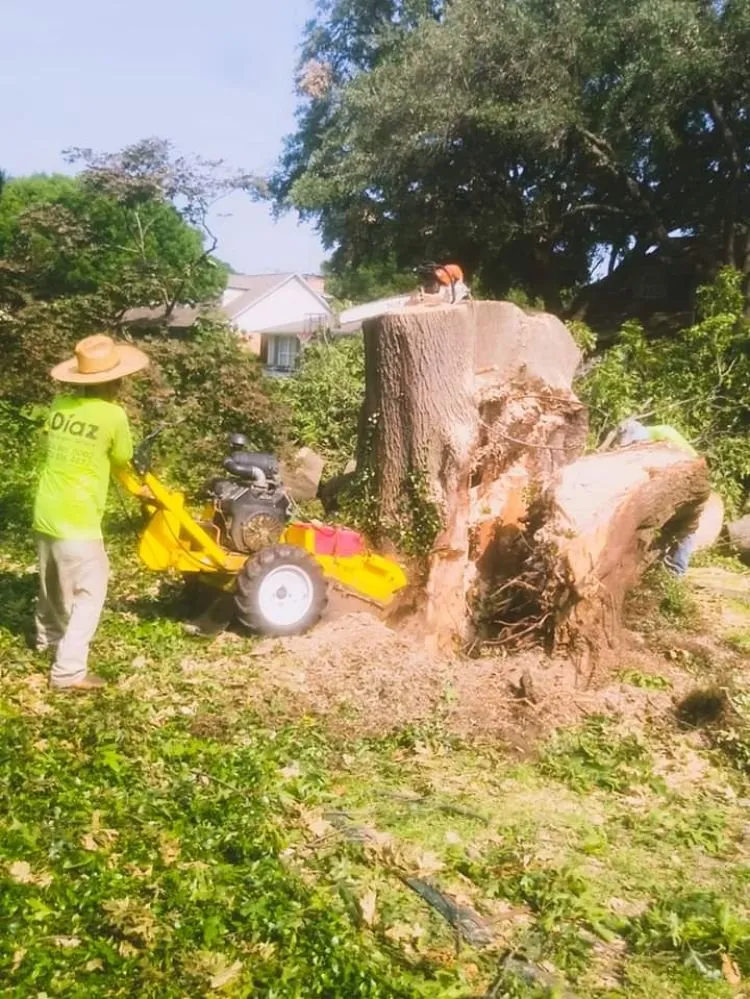 Local landscape design experts serving Garland, TX - Diaz Tree & Lawn Service