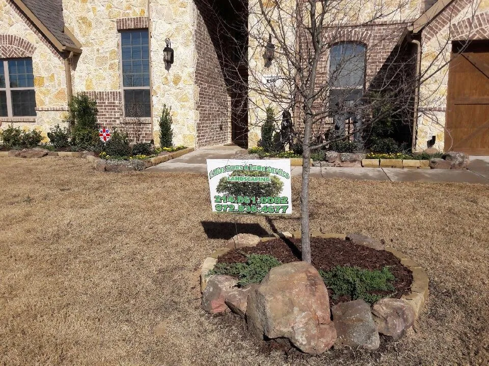 Expert lawn care service in Garland, TX - Diaz Tree & Lawn Service