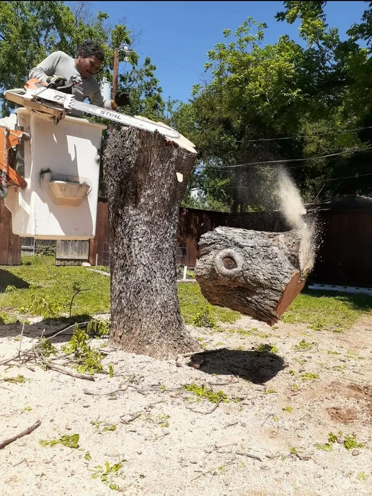 Local garden landscaping in Garland, TX by Diaz Tree & Lawn Service