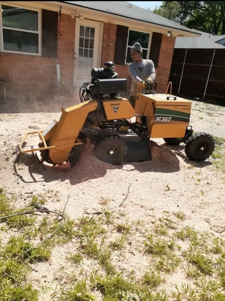 Professional yard maintenance experts serving Garland, TX - Diaz Tree & Lawn Service