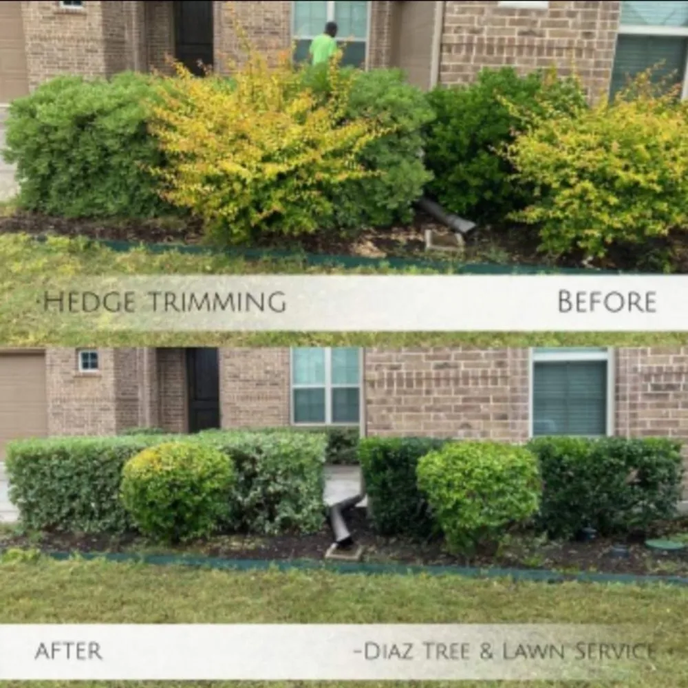 Trusted lawn care service experts serving Garland, TX - Diaz Tree & Lawn Service