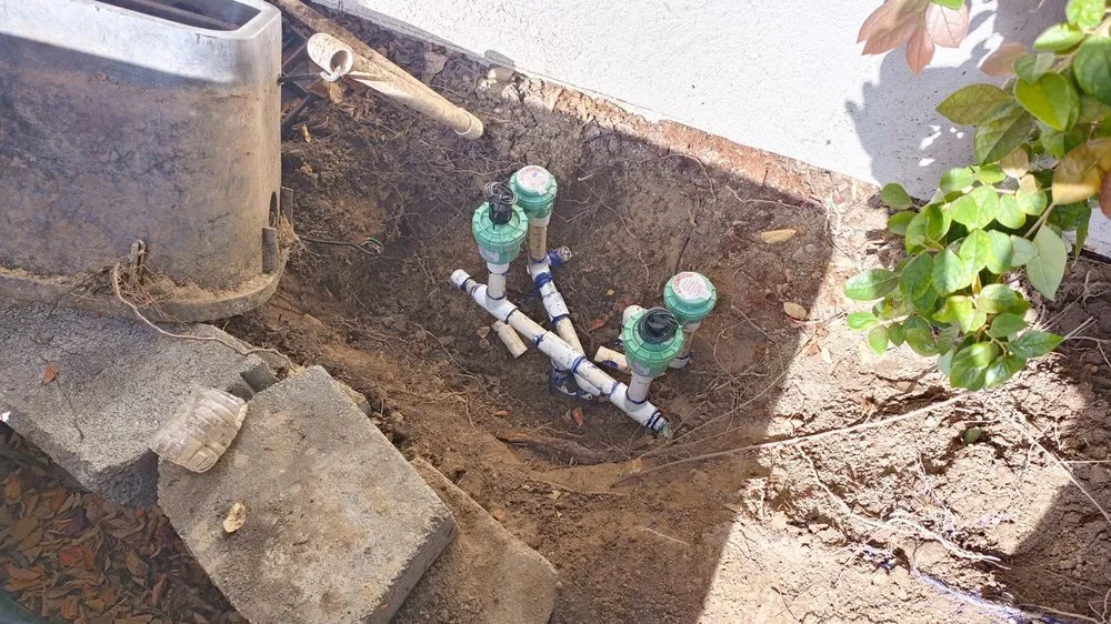 Local outdoor landscaping experts serving Redwood City, CA - Diaz Tree And Garden Service