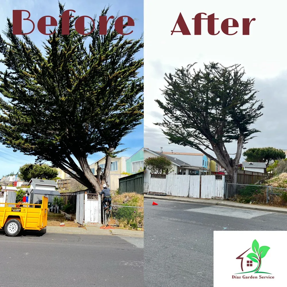 Affordable residential landscaping experts serving Redwood City, CA - Diaz Tree And Garden Service