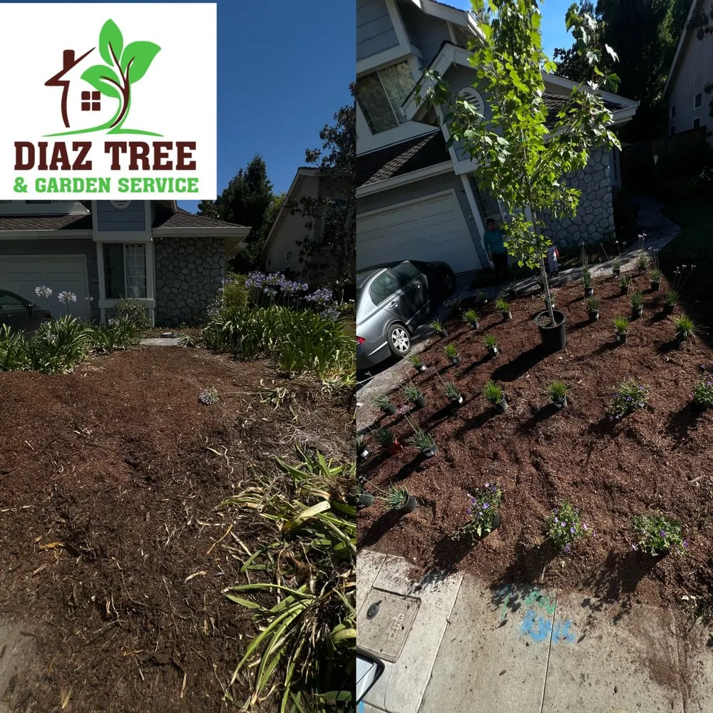 Top-rated lawn mowing service for residential properties in Redwood City, CA by Diaz Tree And Garden Service