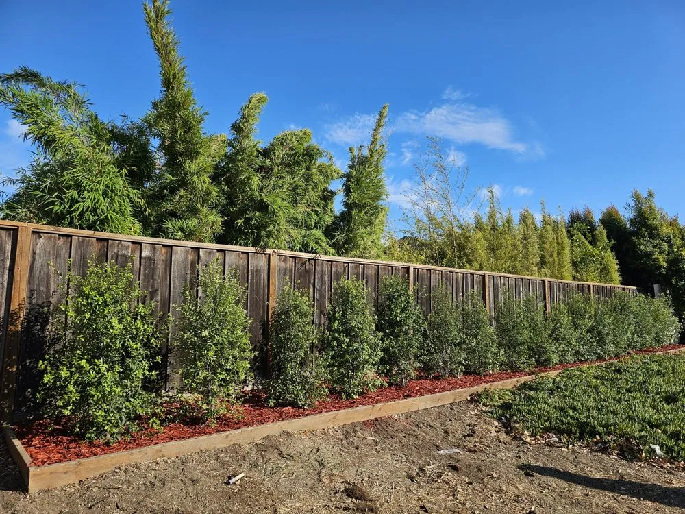Custom outdoor landscaping for beautiful yards across Redwood City, CA - Diaz Tree And Garden Service