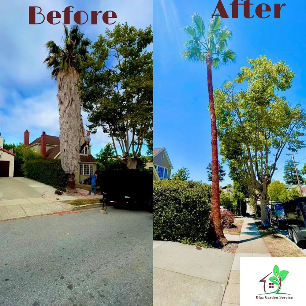Trusted landscape installation for year-round maintenance across Redwood City, CA - Diaz Tree And Garden Service