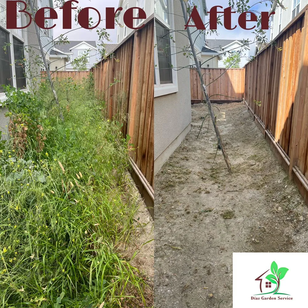 Trusted landscape installation in Redwood City, CA - Diaz Tree And Garden Service