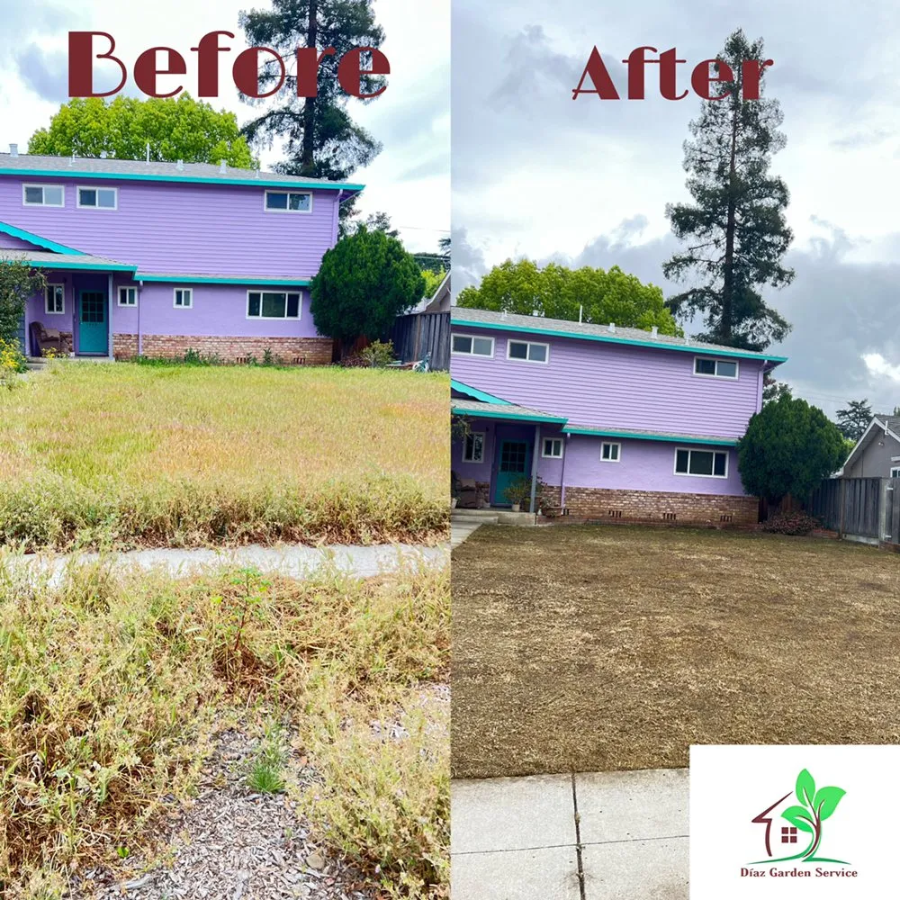 Trusted lawn care service in Redwood City, CA - Diaz Tree And Garden Service