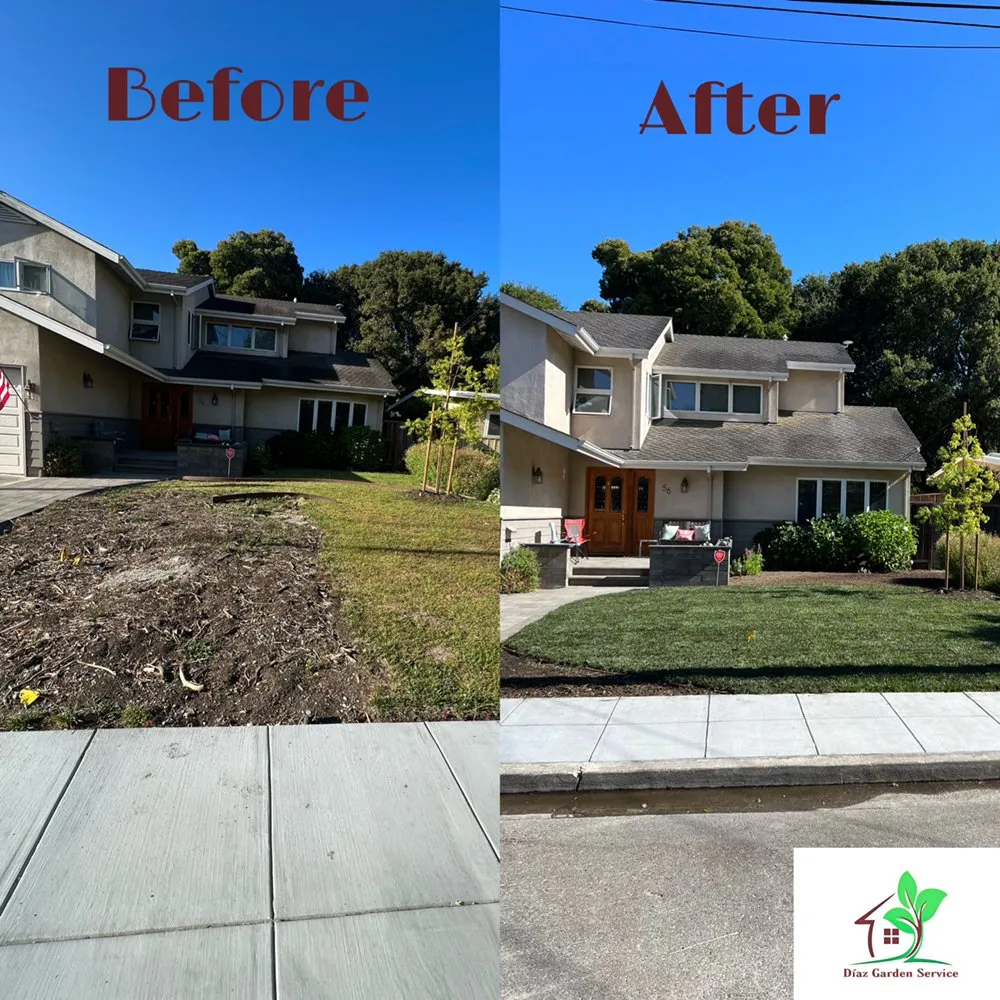 Trusted lawn care service experts serving Redwood City, CA - Diaz Tree And Garden Service