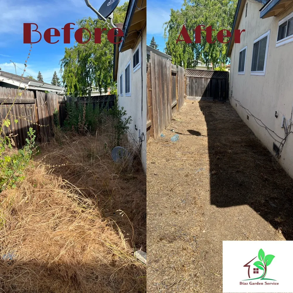 Expert garden landscaping experts serving Redwood City, CA - Diaz Tree And Garden Service
