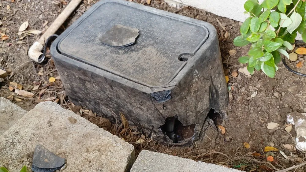 Professional landscape design experts serving Redwood City, CA - Diaz Tree And Garden Service