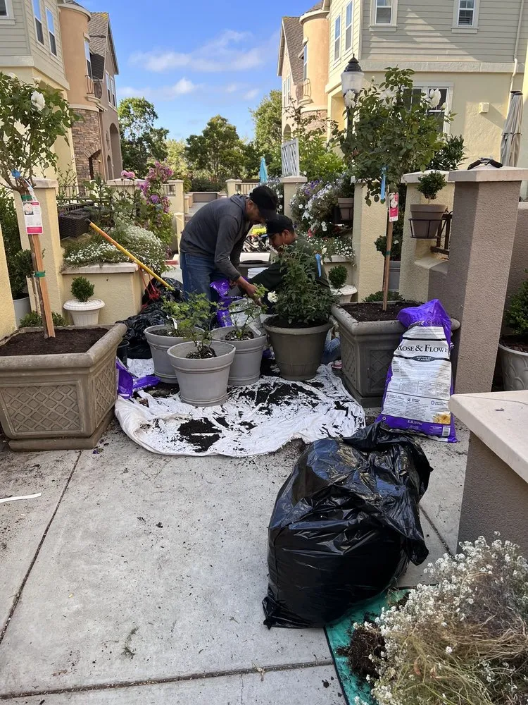 Trusted landscape installation experts serving Redwood City, CA - Diaz Tree And Garden Service