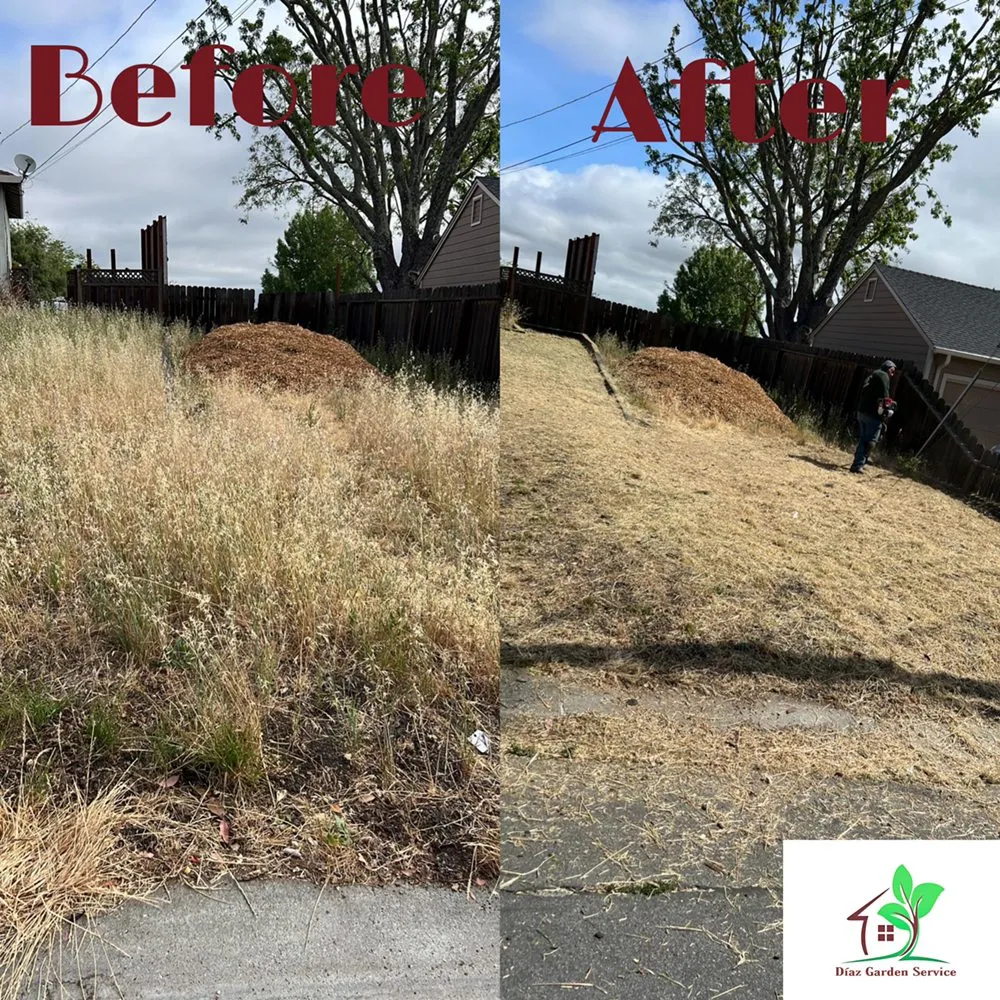 Trusted landscape design experts serving Redwood City, CA - Diaz Tree And Garden Service