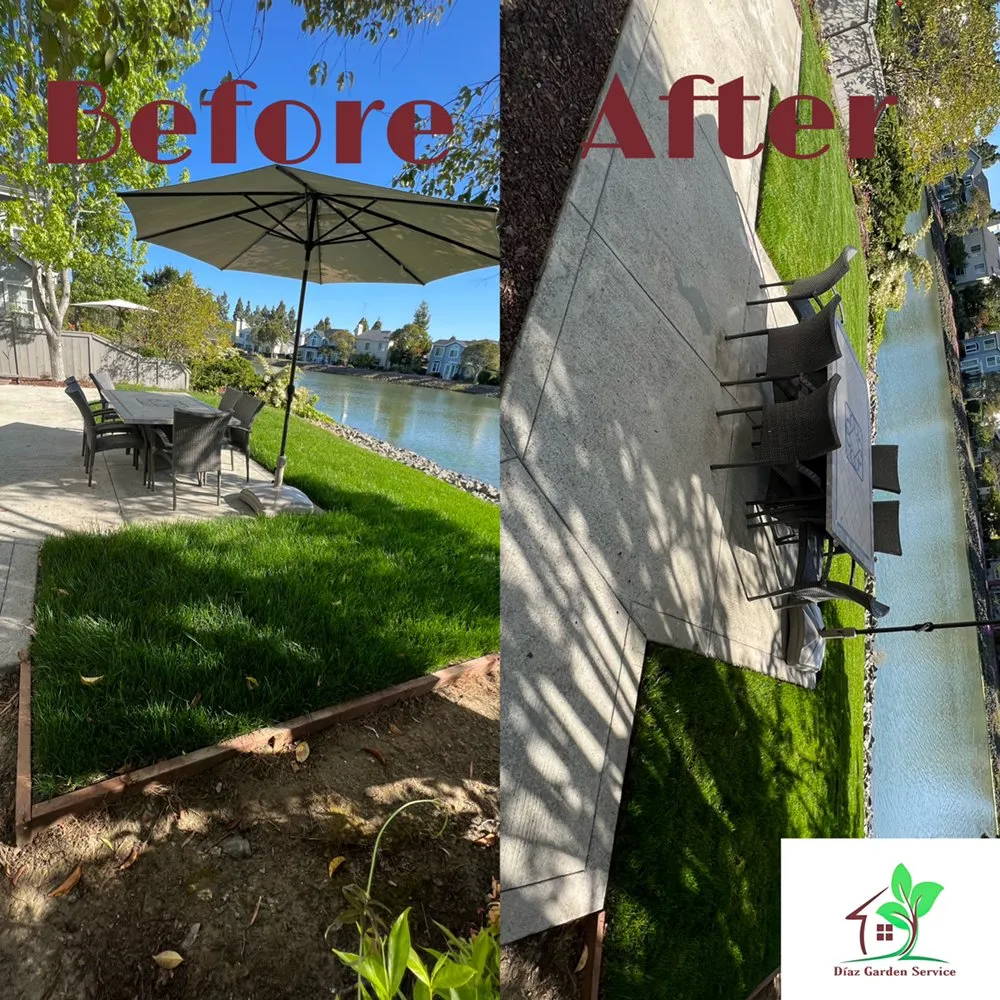 Top-rated yard cleanup service in Redwood City, CA by Diaz Tree And Garden Service