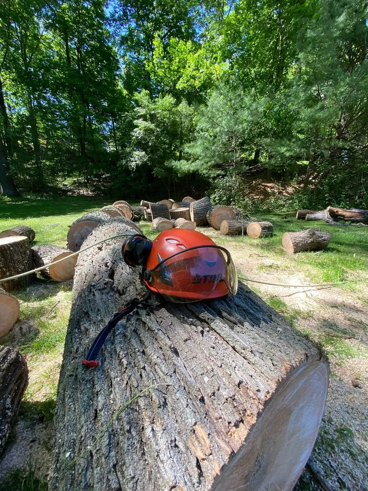 Custom yard maintenance in Mount Kisco, NY - Diaz Tree Service & Landscaping