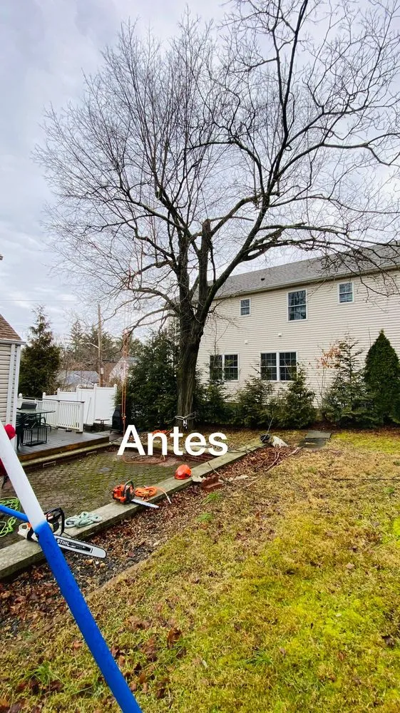 Affordable lawn mowing service in Mount Kisco, NY by Diaz Tree Service & Landscaping