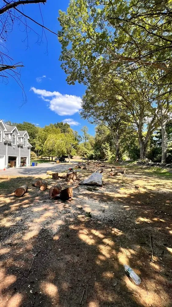 Professional yard maintenance in Mount Kisco, NY - Diaz Tree Service & Landscaping