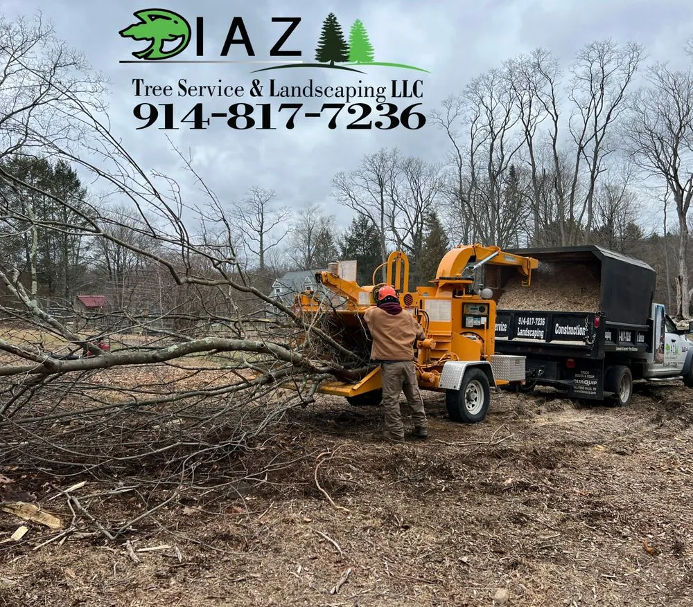 Reliable yard cleanup service in Mount Kisco, NY - Diaz Tree Service & Landscaping