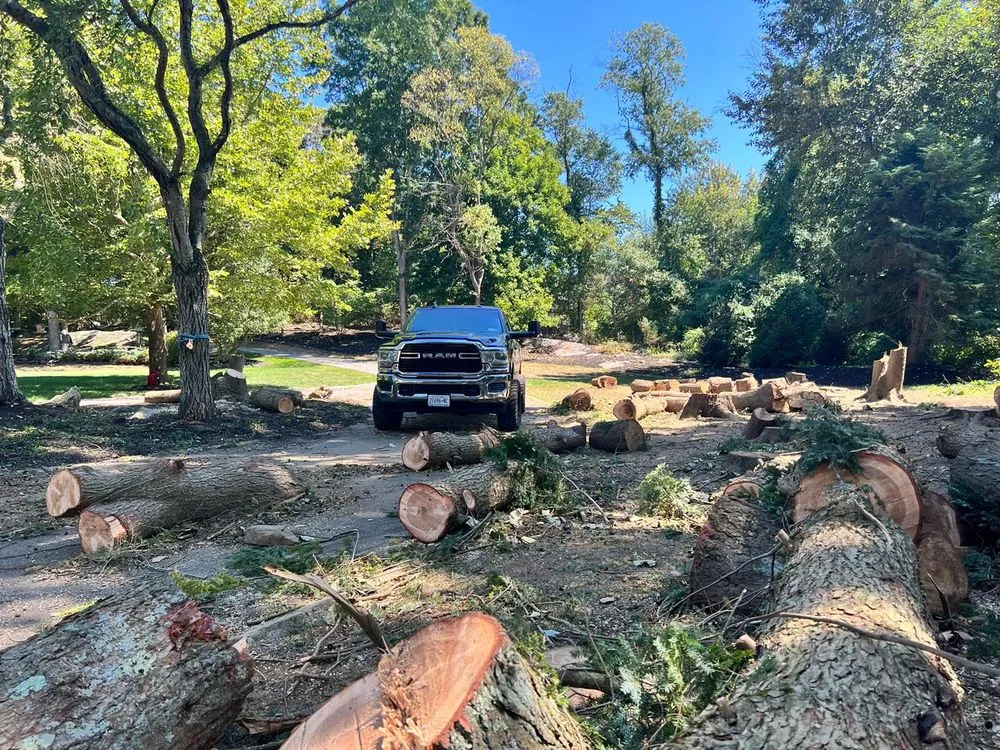 Reliable yard cleanup service in Mount Kisco, NY by Diaz Tree Service & Landscaping