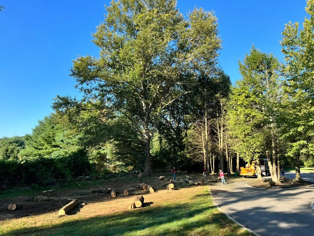 Expert lawn mowing service in Mount Kisco, NY by Diaz Tree Service & Landscaping