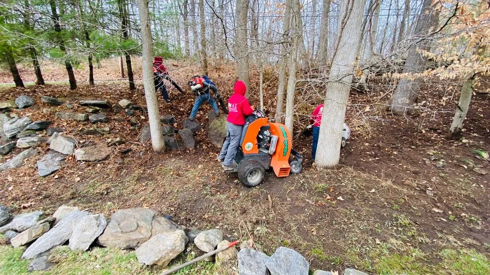 Affordable landscape installation in Mount Kisco, NY - Diaz Tree Service & Landscaping