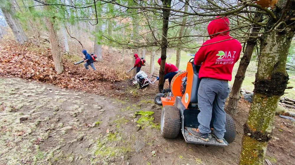 Trusted yard cleanup service near you across Mount Kisco, NY - Diaz Tree Service & Landscaping