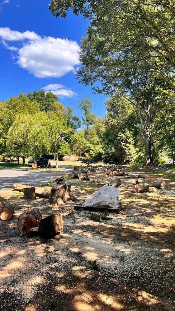 Trusted lawn care service with custom design in Mount Kisco, NY by Diaz Tree Service & Landscaping