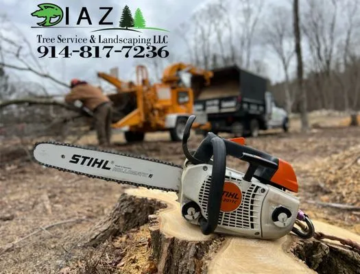 Diaz Tree Service & Landscaping