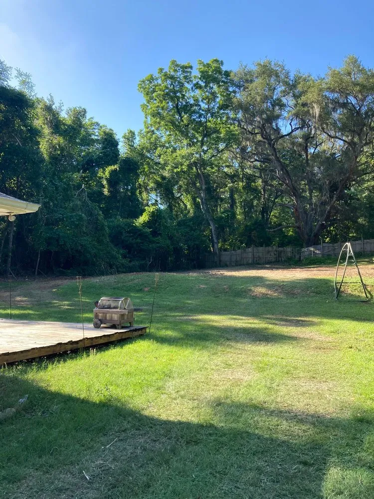 Local residential landscaping experts serving Havana, FL - Diaz Tree Services