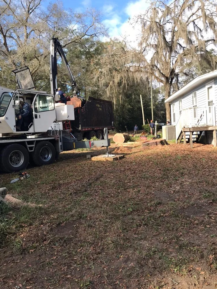 Expert residential landscaping experts serving Havana, FL - Diaz Tree Services