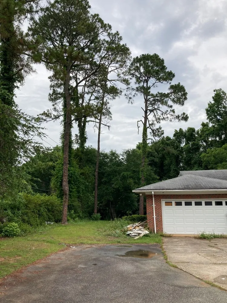 Affordable outdoor landscaping experts serving Havana, FL - Diaz Tree Services