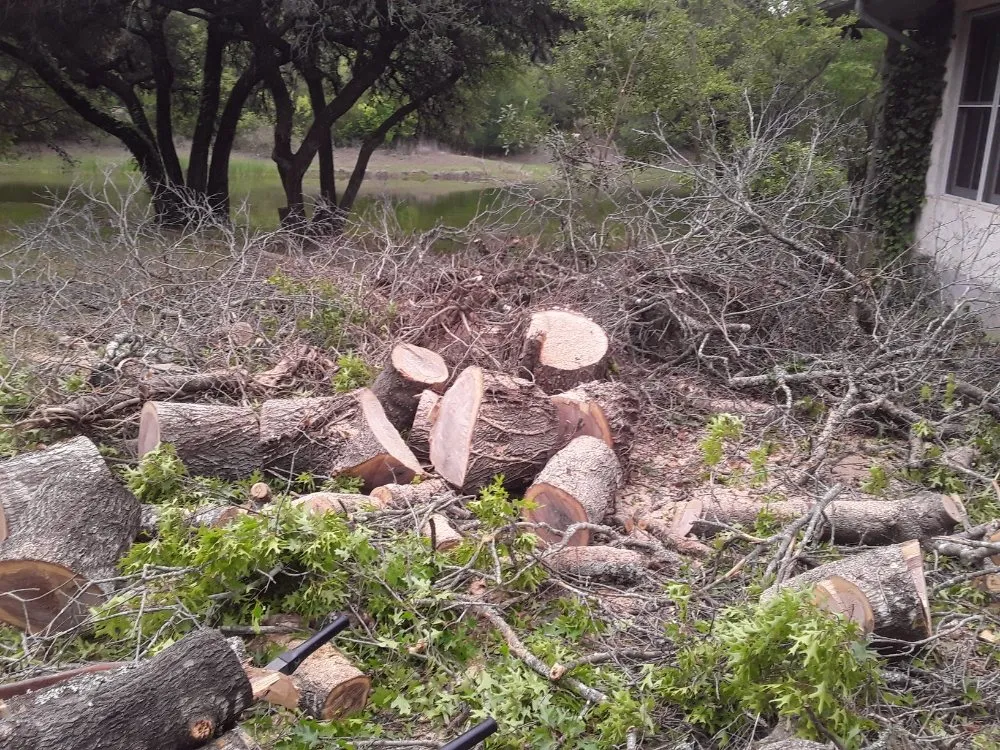 Affordable lawn care service in Kyle, TX - Diaz Trimming Services