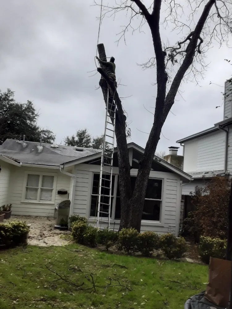 Affordable lawn care service experts serving Kyle, TX - Diaz Trimming Services