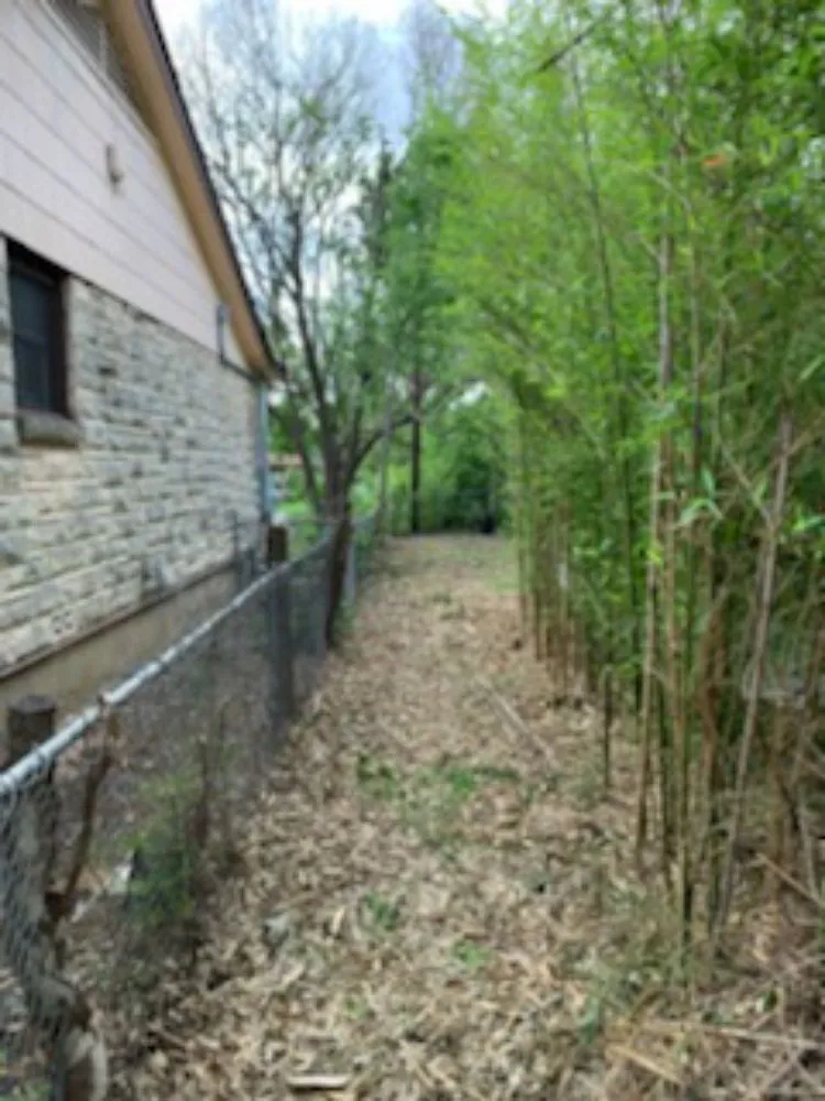 Professional yard maintenance for outdoor upgrades in Kyle, TX by Diaz Trimming Services